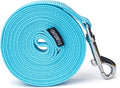Strong Durable Nylon Dog Training Leash, 1 Inch Wide Traction Rope, 6 ft Long, for Small and Medium Dog (Mint Blue, 6 Feet) by Siumouhoi