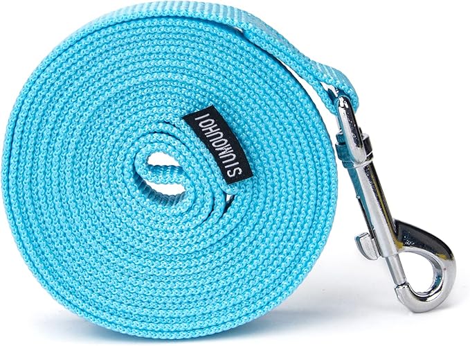 Strong Durable Nylon Dog Training Leash, 1 Inch Wide Traction Rope, 6 ft Long, for Small and Medium Dog (Mint Blue, 6 Feet) by Siumouhoi