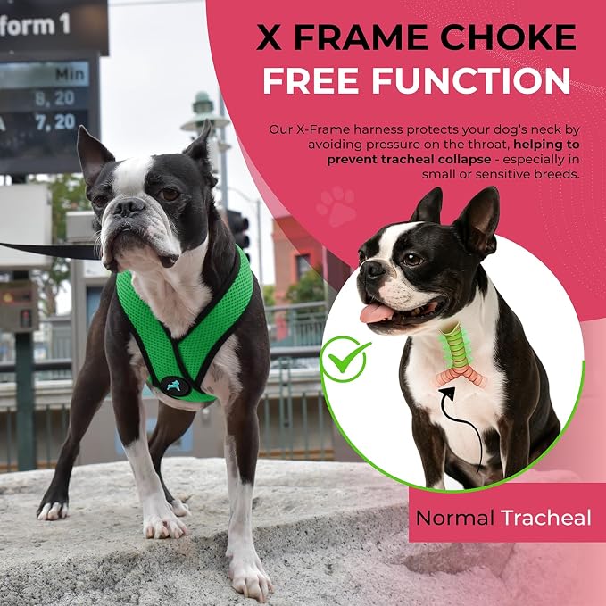 Gooby Comfort X Head-in Dog Harness, Choke-Free, Hunter Green, Large | Patented choke-free X-frame; Secure head-in fit; Lightweight breathable mesh; Back metal D-ring; Machine washable - Image 5