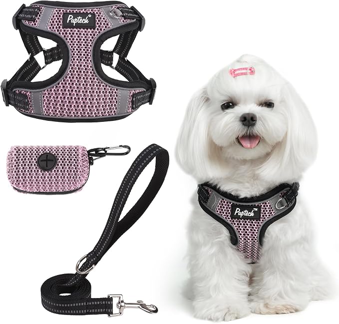 PUPTECK Dog Harness and Leash Set Small Sized, Step in No Pull Adjustable Puppy Cat Harness Reflective Pet Vest by PUPTECK