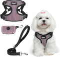 PUPTECK Dog Harness and Leash Set Small Sized, Step in No Pull Adjustable Puppy Cat Harness Reflective Pet Vest by PUPTECK