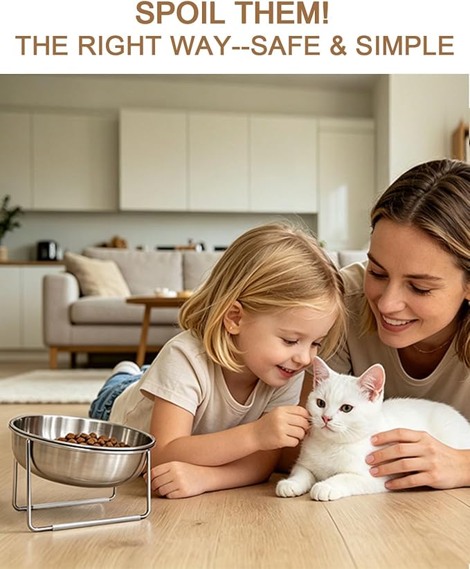 15° Tilted Cat Food Bowls 304 Stainless Steel Kitten Food Bowl Raised Food and Water Dish for Cats Elevated Cat Bowl Plate Stand Whisker Friendly Smooth Polished Easy to Clean Dishwasher Safe 2PACK - Image 4