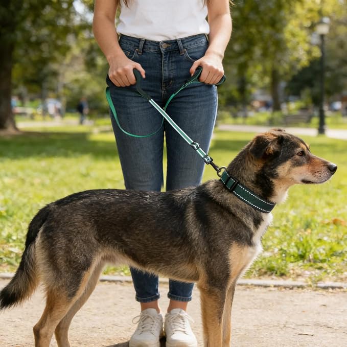 Reflective Double Handle Dog Leash for Large Medium Small Dogs (DG, L) | Heavy Duty, Adjustable with Soft Padded Handles, Traffic Control for Training, Walking, Running - Image 6