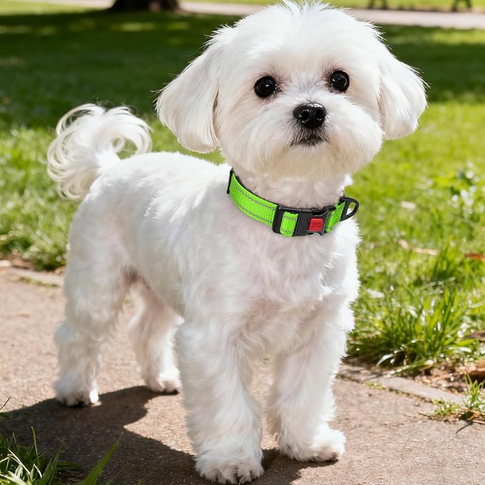 Taglory Reflective Small Dog Collar, Comfortable for Safe Night Walks,Green | Night-Walk Visibility, Soft Neck Cushioning, Adjustable 10-16 in, Locking Buckle, D-Ring for Leash and ID Tags - Image 2