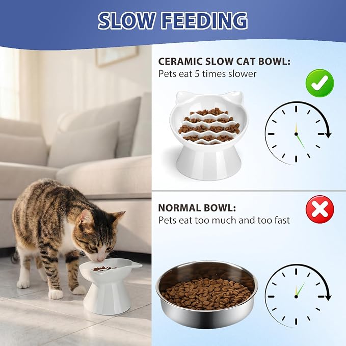 Ceramic Slow Feeder Cat Bowl, 2 Cups Tilted Elevated Honeycomb Food Dish | Premium Ceramic Material, Suitable For Dry And Wet Food, Honeycomb Structure Reduces Vomiting & Bloating For Cats - Image 5