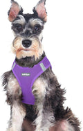 rabbitgoo Step-in Small Dog Harness, Puppy Vest for Medium Sized Pet | Easy Put on and off, Lightweight, Soft, Breathable Quick-Dry Air Mesh for Comfortable Secure Walking, Purple XXL by rabbitgoo