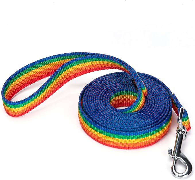 Strong Durable Nylon Dog Training Leash, 1 Inch Wide Traction Rope, 6 ft 10ft 15ft Long, for Small and Medium Dog (Rainbow, 10 Feet) by Siumouhoi