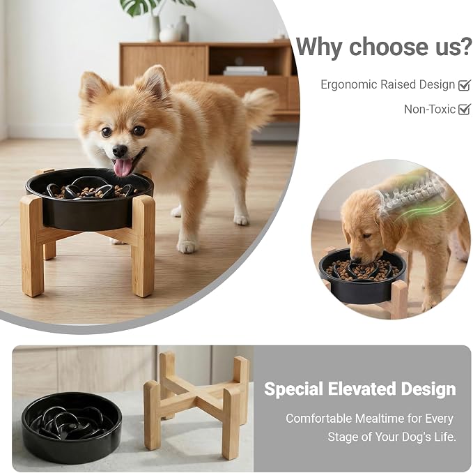 Elevated Ceramic Slow Feeder Dog Bowl with Stand 8.26in for Small&Medium Pet Raised Slow Feeder Dog Bowls Heavy Weighted Non-Toxic Non-Slip (Black, for Small&Medium Size) - Image 2