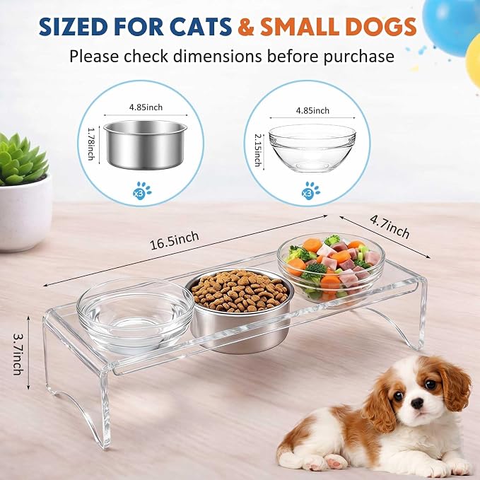 Elevated Acrylic Dogs Bowl Stand, 3.75" Tall Raised Cat & Dog Bowls with 3 Stainless & 3 Glass, Non-Slip, Easy to Clean, Raised Dog Bowls for Small Dogs, Cats, Pets, Puppy - Image 4