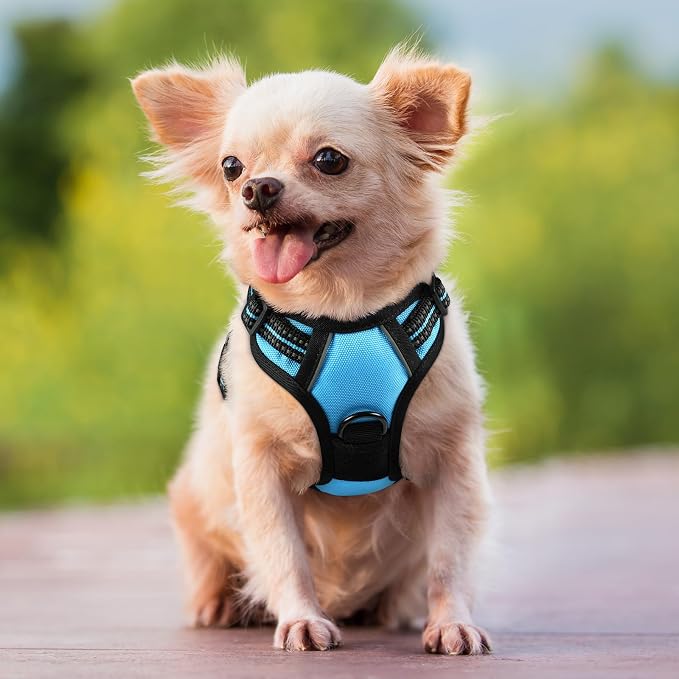 rabbitgoo Dog Harness, No Pull for Small Dogs with 2 Leash Clips, Pet Vest | No Choke with Handle, Adjustable Soft Padded, Reflective, Easy Control for Walking, Blue, X-Small - Image 8