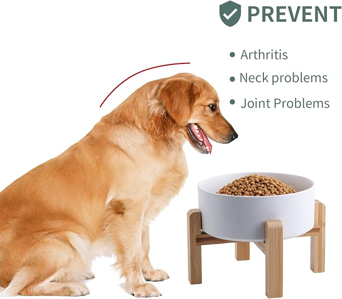 White Raised/Elevated Ceramic Dog Bowl for Small Medium Sized Breeds,Dog Food Water Bowl with Stand,6 in Non Slip Heavy Pet Feeding Dish 3.6 Cups/ 850 ml /28 OZ - Image 4