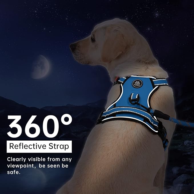 IVY&LANE No Pull Dog Harness for Small Dogs, Dog Vest Harness with Leash, Safety Belt and Storage Strap, Fully Adjustable Harness, 360° Reflective Strip, Soft Handle (Blue, XS) - Image 6