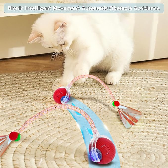 Speedy Tail 3.0 Interactive Toy Ball, 2 Tails for Cats & Dogs | cat chase toy|chirping bird cat toy|Adjustable sound level|300 mA high-capacity battery - Image 8