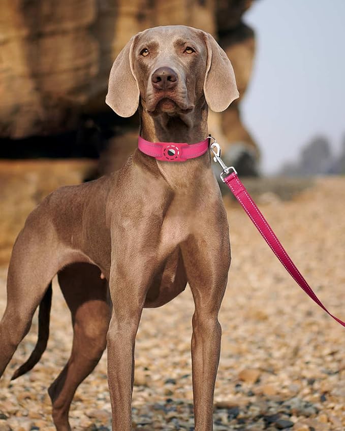 6FT Reflective Dog Leash, Padded Handle for Small Medium Dogs | Comfortable Nylon, Soft Handle Cushioning, Reflective Safety at Night, Walking Leash for Park & Hiking (3/4in, Hot Pink) - Image 2