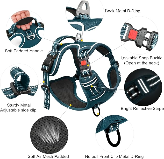 Timos Dog Harness, No Pull Large Sized with 3 Buckles, Blackish Green, L | Reflective, No Choke, Easy On & Off, Adjustable Soft Padded, Front & Back 2 Clips and Control Handle for Walking Training - Image 4