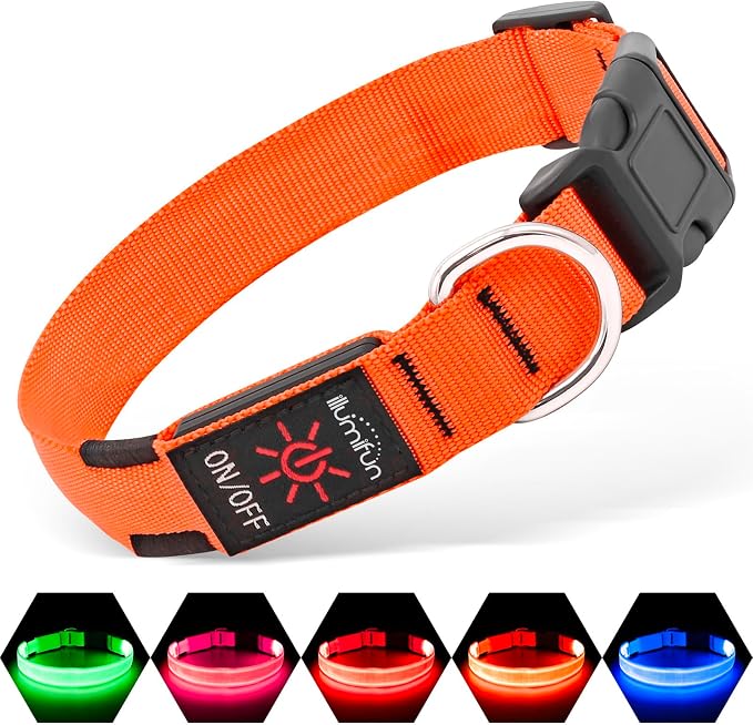 Illumifun LED Dog Collar, Adjustable Light Up Dog Collars, USB Rechargeable Water-Resistant Glowing Safety Collar Light (Orange, Small) by Illumifun