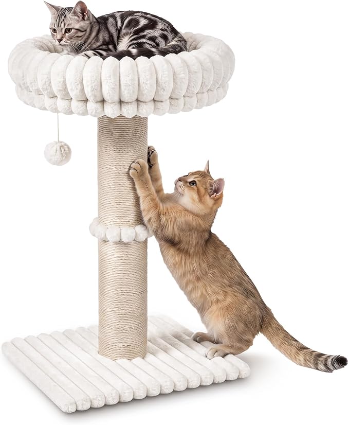 Avont 28.7" Sisal Cat Scratching Post with Large Plush Perch, Cream | Large Cat Scratcher Tower & Plush Elevated Cat Bed with Removable & Washable Cover, Sturdy Cat Perch for Indoor Cats by Avont