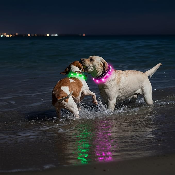 Light Up Dog Collar, Rechargeable Glowing Dog Collar, Light Dog Collar for Night Walking with 1640 FT of Visibility - Brightest LED Dog Collar Light, 3 Flashing Modes, Keeps Your Pets Safe in The Dark - Image 7