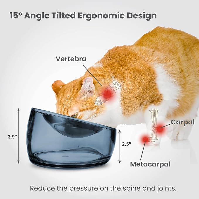 Felli Pet Oblik Whisker Fatigue Cat Food Bowl Raised Stainless Steel Shallow Dish, Pet Design Anti Vomit Tilted Metal Plate Feeder Elevated Acrylic Base (Shadow, 0.5 Cups Shallow Dish) - Image 5