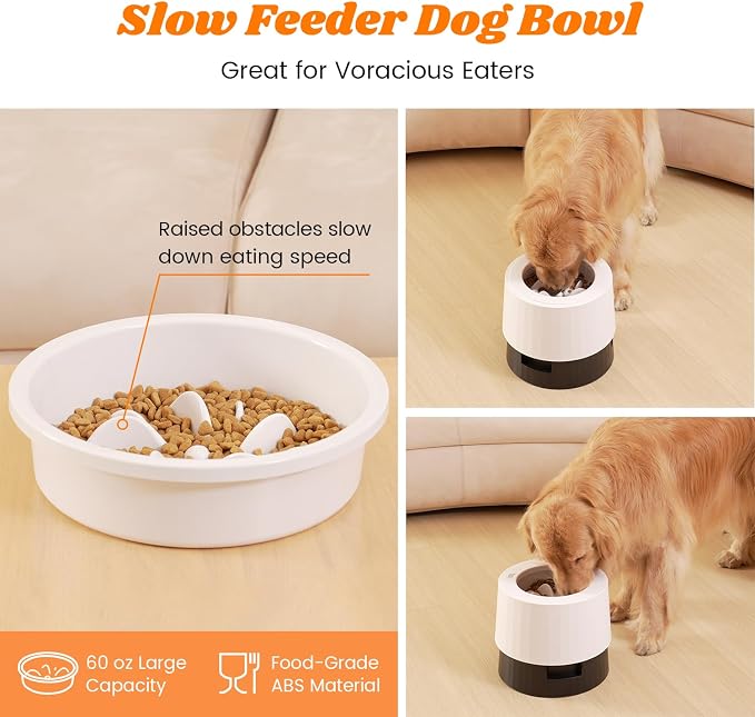 Pawque Elevated 60oz Slow Feeder Dog Bowls Large Breed Raised Food Bowl | Bowls for Medium Large Sized Dogs, Stable Sturdy Base and Snap on Adjustable Height Stand, Anti-Slip Mess Proof Dog Bowls - Image 3