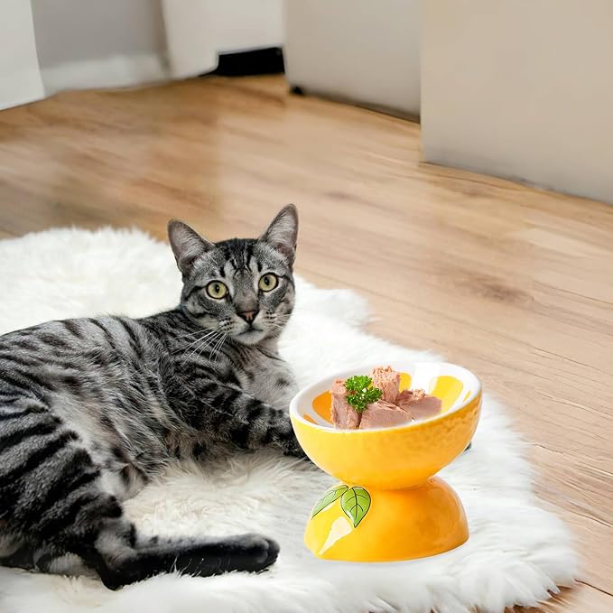Elevated Cat Bowl Ceramic Raised Cat Food Water Bowls for Indoor Kitten | 5.2in Tilted Anti Vomiting Slow Feeder Cat Dishes, Whisker Friendly, Cute Lemon Design - Image 2