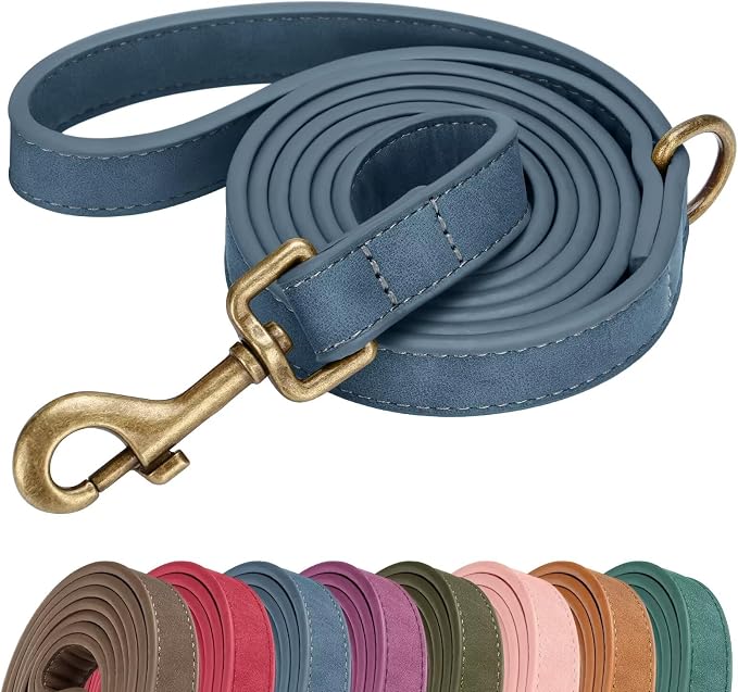 Didog PU Leather Dog Leash for Small Dogs, 5/8in x 5ft, Blue | Soft Grip Full Control, Easy Clean, Metal D-ring for Poop Bag Holder, Tangle-Free 360° Swivel Clasp, for Walking & Training by Didog