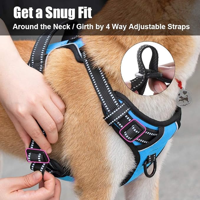 PoyPet No Pull Dog Harness Small, Reflective Vest with Front Clip & Handle | Easy On/Off, No Choke, Adjustable, 2 Leash D-rings, Soft Padded, Breathable, Oxford, for Walking Training, S, Blue - Image 5