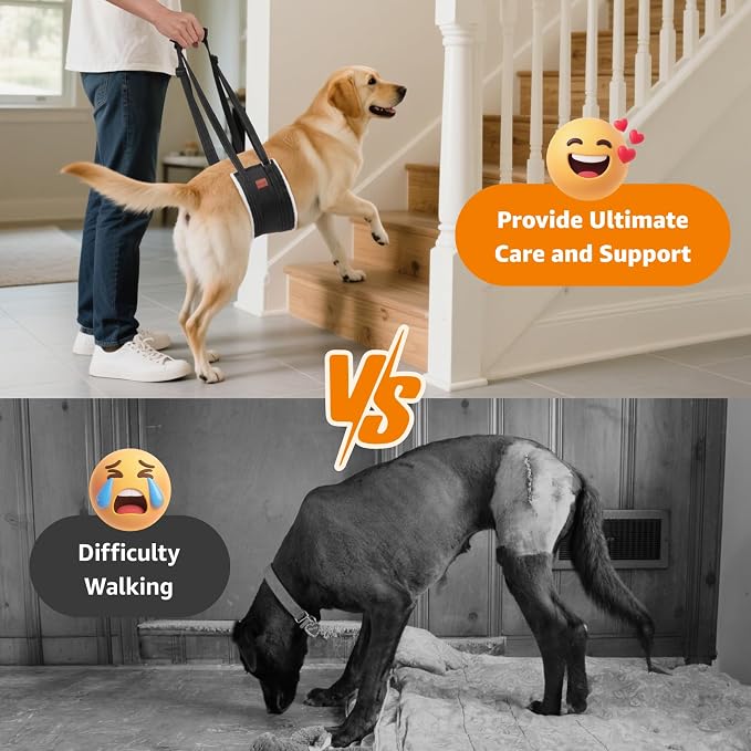 LOOBANI Dog Lift Harness for Large Dogs Hind Leg Support for Weak Rear Legs | Walking & Stair Assistance, Senior Dog Mobility, Padded Comfort, Adjustable Fit, Lightweight Nylon, Soft Plush Lining - Image 2