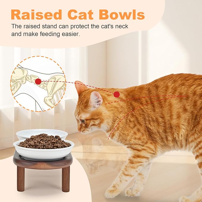 SPUNKYJUNKY Shallow Elevated Cat Bowl with Acacia Wood Stand Wide Raised Ceramic Cat Dishes Whisker Friendly Pet Food and Water Plates (Striped Pattern, White) - Image 3
