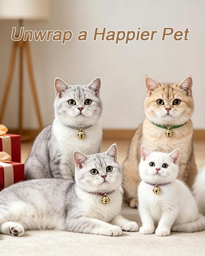 15° Tilted Cat Food Bowls 304 Stainless Steel Kitten Food Bowl Raised Food and Water Dish for Cats Elevated Cat Bowl Plate Stand Whisker Friendly Smooth Polished Easy to Clean Dishwasher Safe 2PACK - Image 9