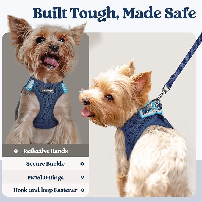 rabbitgoo Dog Harness Small Sized and Leash Set, Step-in Puppy Pet Vest | Light, Soft, Breathable Air Mesh, Easy on and Remove with Hook & Loop, Secure Reflective for Walking, Navy Blue M - Image 5