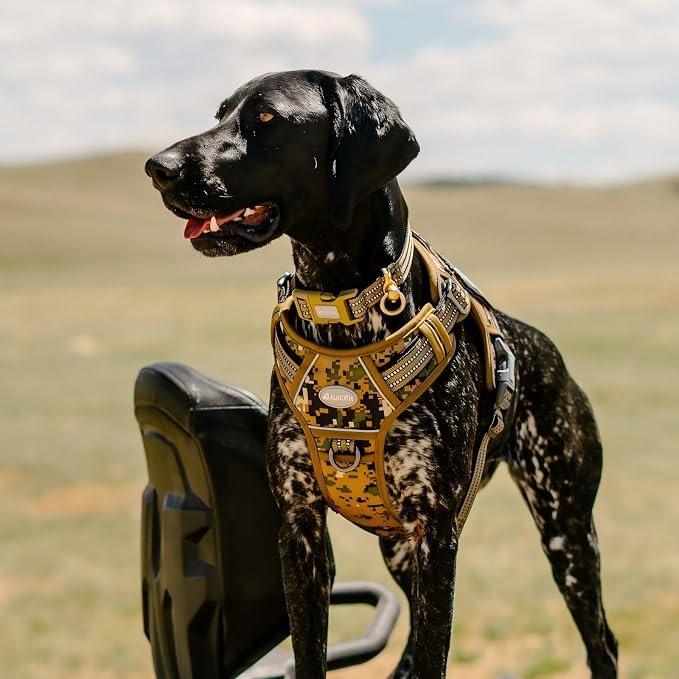 AUROTH Tactical Dog Harness for Small Medium Dogs No Pull Adjustable Pet Harness Reflective K9 Working Training Easy Control Pet Vest Military Service Dog Harnesses Woodland Camo S - Image 6