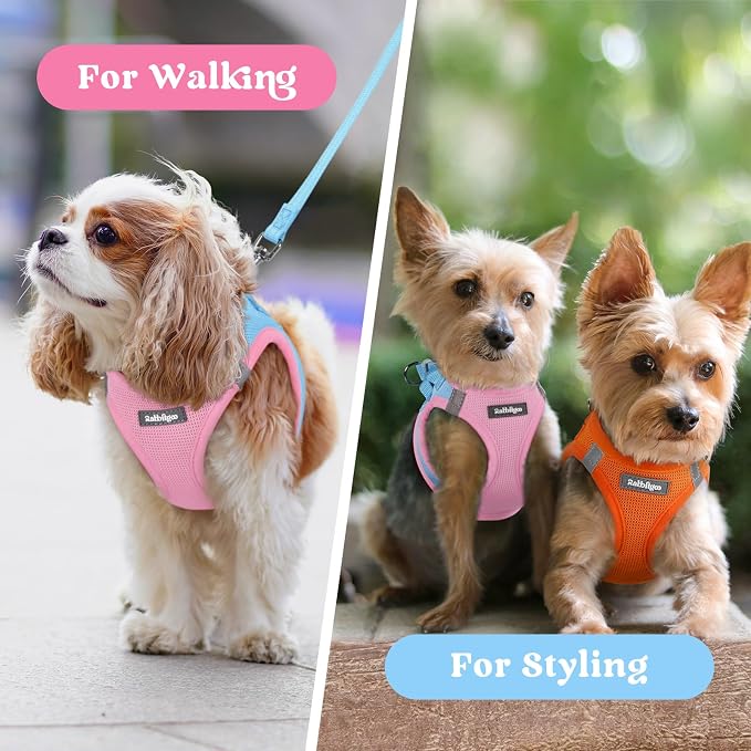 rabbitgoo Step-in Small Dog Harness, Puppy Vest for Small Sized Pet | Easy Put on and off, Lightweight, Soft, Breathable Quick-Dry Air Mesh for Comfortable Secure Walking, Blue & Light Pink S - Image 9