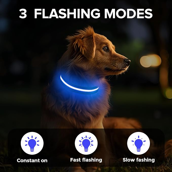 LED Dog Collar, Light Up Dog Collar USB-C Rechargeable Waterproof | 360° Visibility Light Up Dog Collar, Adjustable Nylon Collar with 3 Modes for Small Medium Large Dogs Night Walking Blue M - Image 2