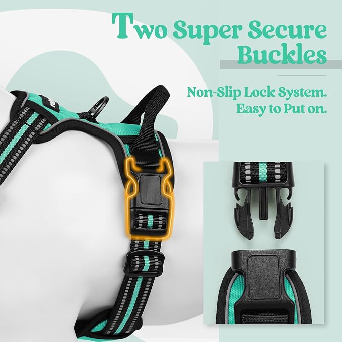 rabbitgoo Dog Harness, No Pull for Small Dogs with 2 Leash Clips, Pet Vest | No Choke with Handle, Adjustable Soft Padded, Reflective, Easy Control for Walking, Turquoise, Small - Image 3