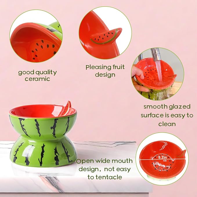 Elevated Cat Bowl Ceramic Raised Cat Food Water Bowls for Indoor Kitten | 5.2In Tilted Anti Vomiting Slow Feeder Cat Dishes, Whisker Friendly, Cute Watermelon Design - Image 5