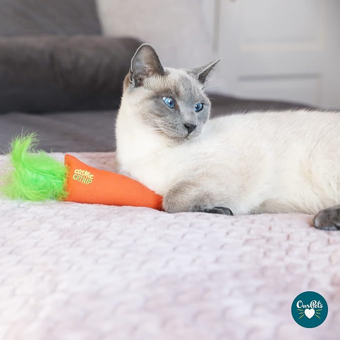 OurPet's 100-Percent North American Catnip Filled Carrot Cat Toy 24 Karat (Pack of 2) - Image 4