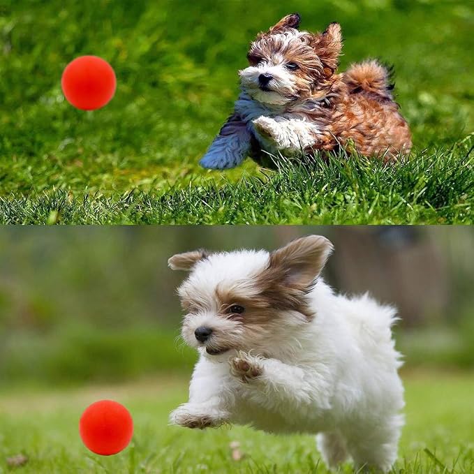 Volacopets Puppy Balls - Pack with Different Functions & Teething Toys for Small Dogs, Squeaky Dog Balls, Rubber Chew Toys for Enrichment - Image 7
