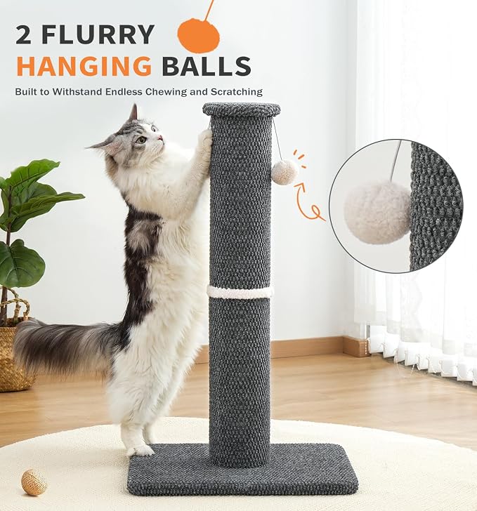 Made4Pets Cat Scratching Post, Carpet Cat Scratcher for Indoor Cats, 23.6" | Compact Base, Hanging Balls for Play, Easy Assembly with Tools, Vertical Scratching for Kittens and Smaller Cats, Dark Grey - Image 7