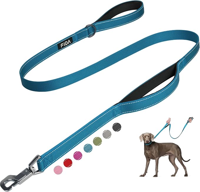 Fida Heavy Duty Dog Leash for Medium Large Dogs, 5 FT, Dual Padded Handles | Traffic Handle for Close Control, Advanced Easy Snap Hook, Reflective, Strong Nylon Webbing for Daily Walks & Training, Blue by Fida