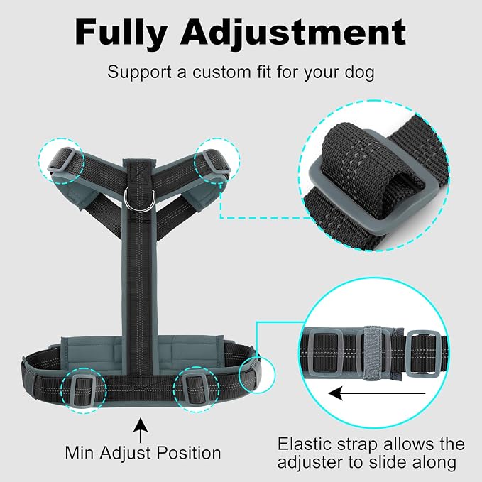 Plutus Pet No Pull Dog Harness, Adjustable Nylon Harness with Soft Padding | Reflective with Front Clip, Heavy Duty for Training and Walking, for Small Medium Large Dogs, Black, XS - Image 8