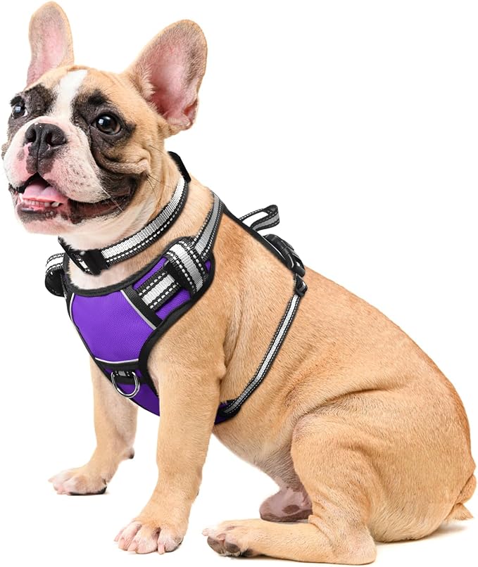 Dog Harness No Pull, Pet Harnesses with Dog Collar, Adjustable Reflective Oxford Outdoor Vest, Front/Back Leash Clips for Small, Medium, Large, Extra Large Dogs, Easy Control Handle for Walking by WINSEE