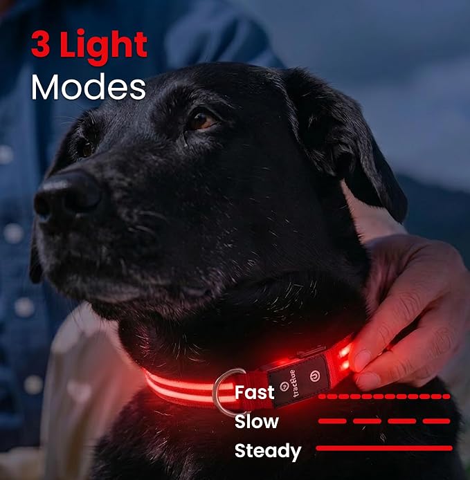Tractive LED Light Up Dog Collar USB Rechargeable Waterproof (Red) - Image 4