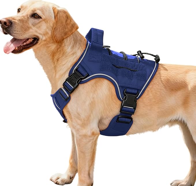Heavy-Duty Tactical Dog Harness for Large Dogs, No Pull Adjustable Reflective Pet Vest with Molle System, K9 Military-Grade Control for Service Training, Outdoor & 10+ Breeds, Dazzling Blue, Medium by Bruvoalon