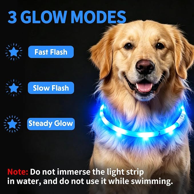 LaRoo LED Dog Collar, USB Rechargeable Flashing Light Dog Collar, Nighttime Safety, Cuttable Size for Small Medium Large Dogs, Makes Your Pet Visible in The Dark (Blue) - Image 5