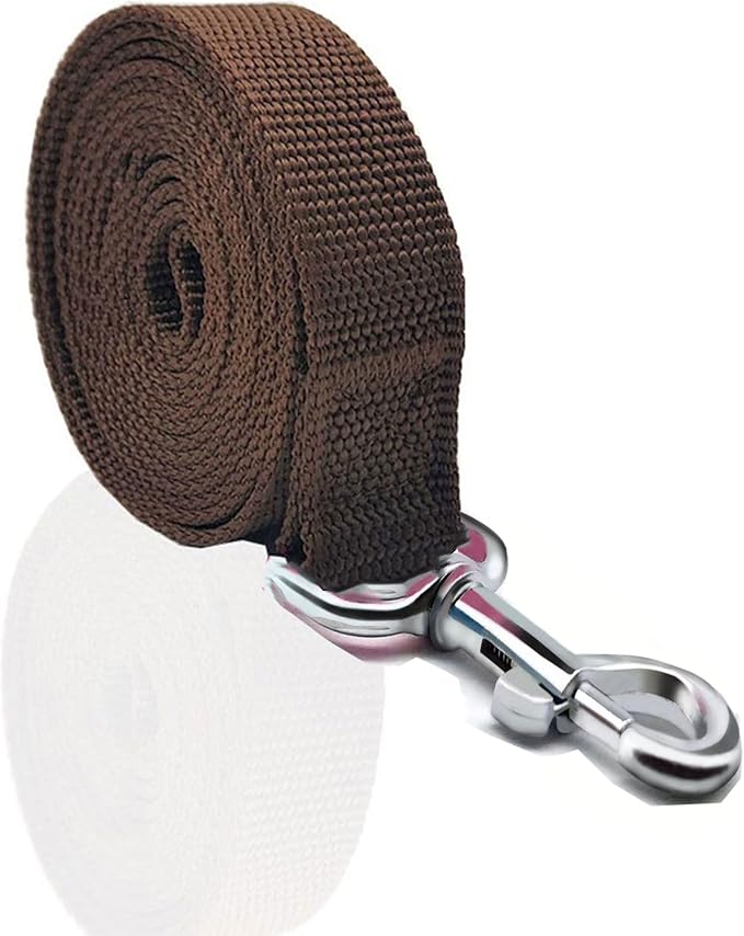 Nylon Dog Leash 4 Ft 5 Feet 6 Foot Long, Walking Training Dog Leashes for Medium Large Dogs, 1 Inch Wide (1" X 4 ft, Brown) - Image 2