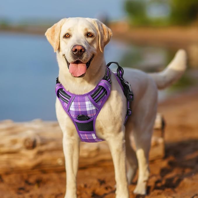 rabbitgoo Dog Harness, No Pull for Small Dogs with 2 Leash Clips, Pet Vest | No Choke with Handle, Adjustable Soft Padded, Reflective, Easy Control for Walking, Purple Plaid, Small - Image 8