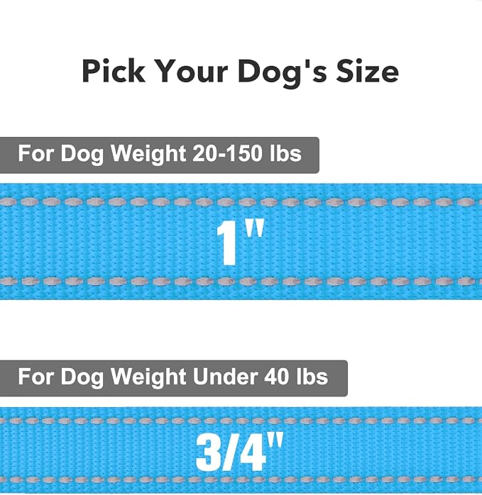 Taglory Reflective Dog Leash for Medium Large Dogs, 1in x 5ft, Sky Blue | Ideal for Night Walking, Strong for Sudden Pulls, Lightweight & Gentle on the Neck, Soft Padded Handle - Image 4