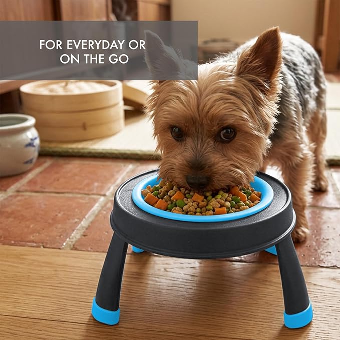 Dexas Pets Elevated Pet Feeder, Small, 1.5 Cup Capacity, Blue, Raised Pet Food and Water Bowl - Image 3