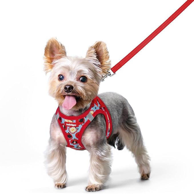 rabbitgoo Dog Harness Small Sized and Leash Set, Step-in Puppy Pet Vest | Light, Soft, Breathable Air Mesh, Easy on and Remove with Hook & Loop, Secure Reflective for Walking, Apple Pups XS by rabbitgoo